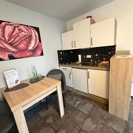 Pensionat Blumenvilla Staytopus - Heidepark, Kartbahn, Sauna, Parken 3*